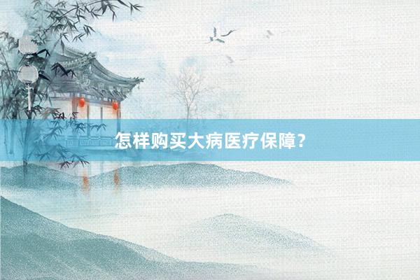 怎样购买大病医疗保障？
